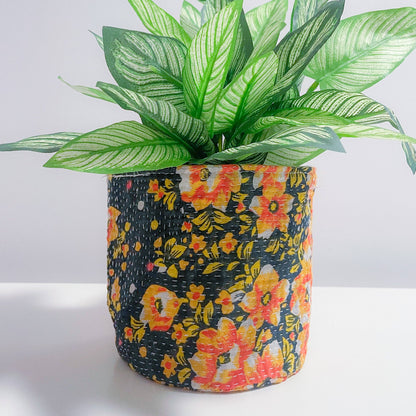 Potted plant in a colorful floral pot on a white background