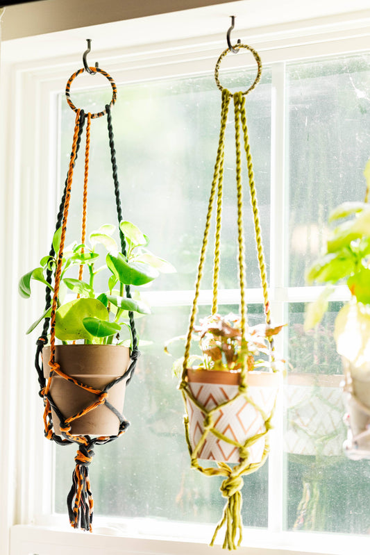 Two macrame plant hangers with plants hanging by a window.