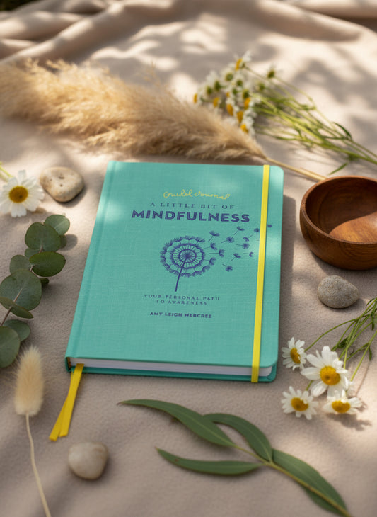 Guided journal titled 'A Little Bit of Mindfulness' with a dandelion illustration on a teal cover.