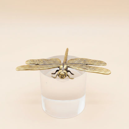 Bronze dragonfly on a clear crystal pedestal against a gray background