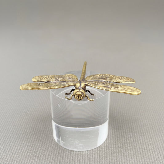 Bronze dragonfly on a clear crystal pedestal against a gray background