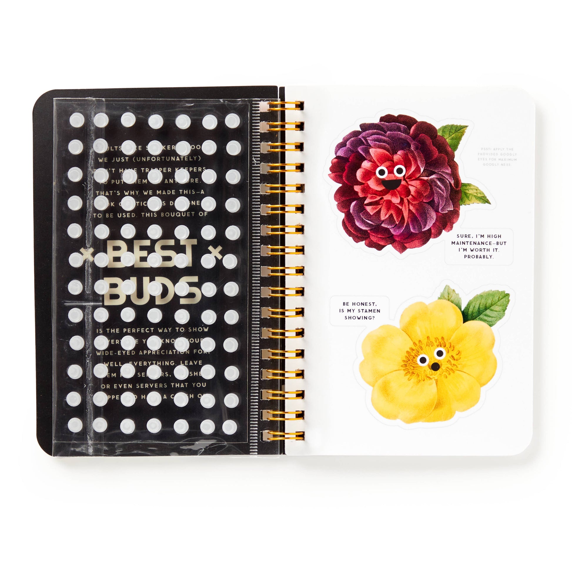 Googly eyes come in journal for you to add to the flower blooms or whatever you like!