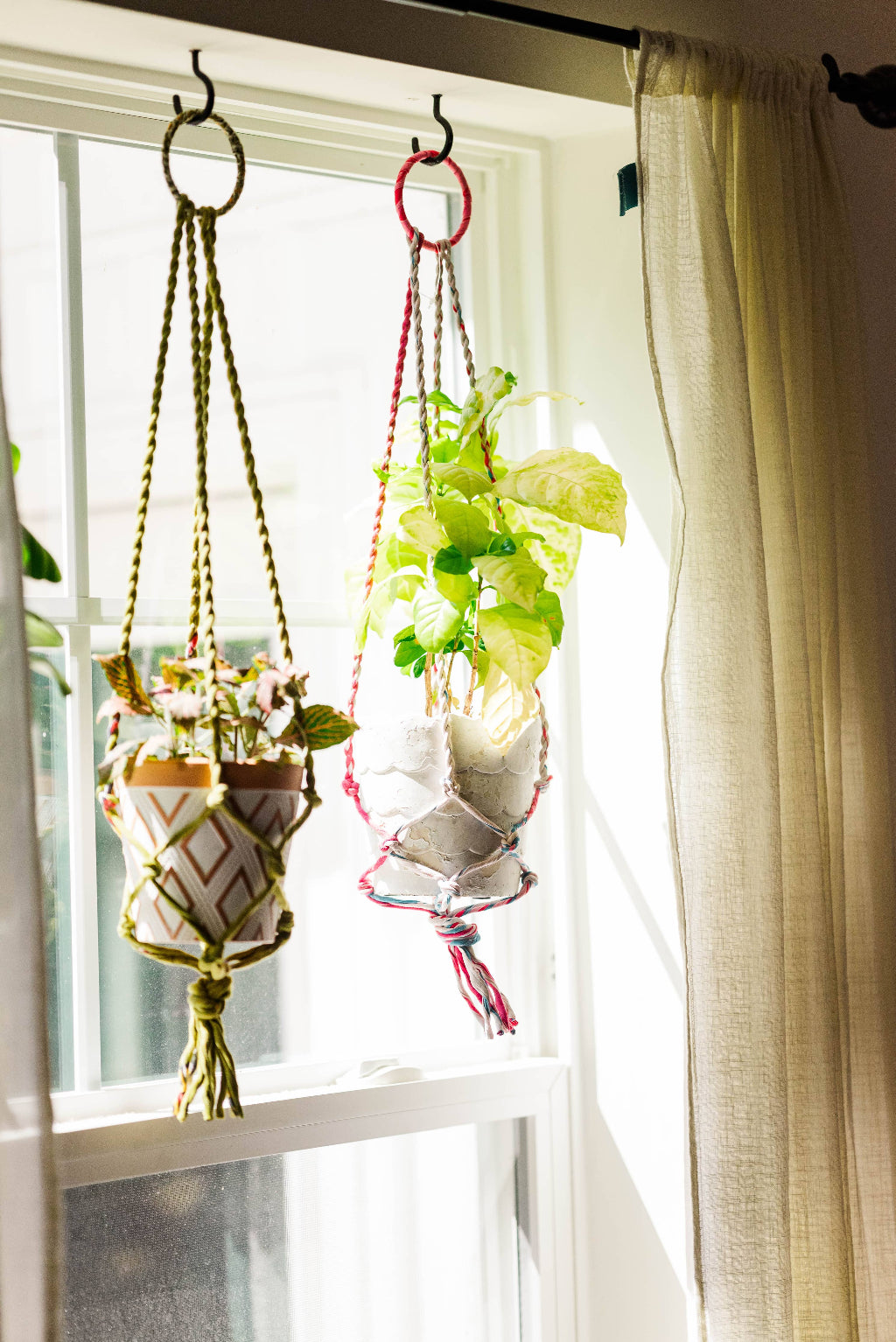 Hanging planters with plants on a window sill