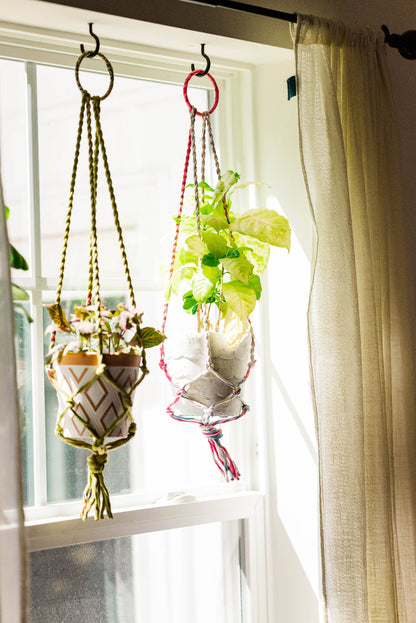 Hanging planters with plants on a window sill