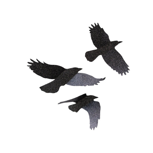 Three black crow silhouettes on a white background