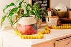 Decorative items including a plant, colorful beads, and a woven basket on a surface.
