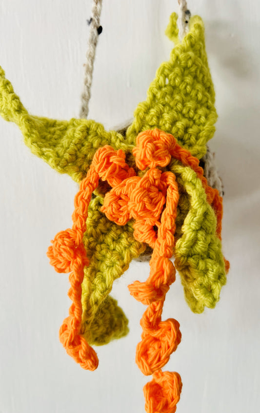 Medium-sized crocheted air plant with bright green leaves and orange base, featuring trailing flowers