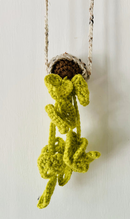 Image of Sprite baby crochet air plant