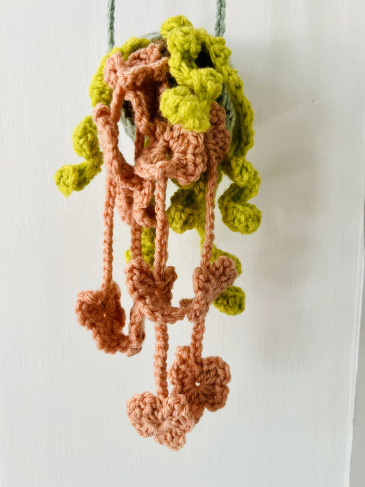 Romantic trailing vine of soft crochet hearts, perfect for plant lovers who forget to water.
