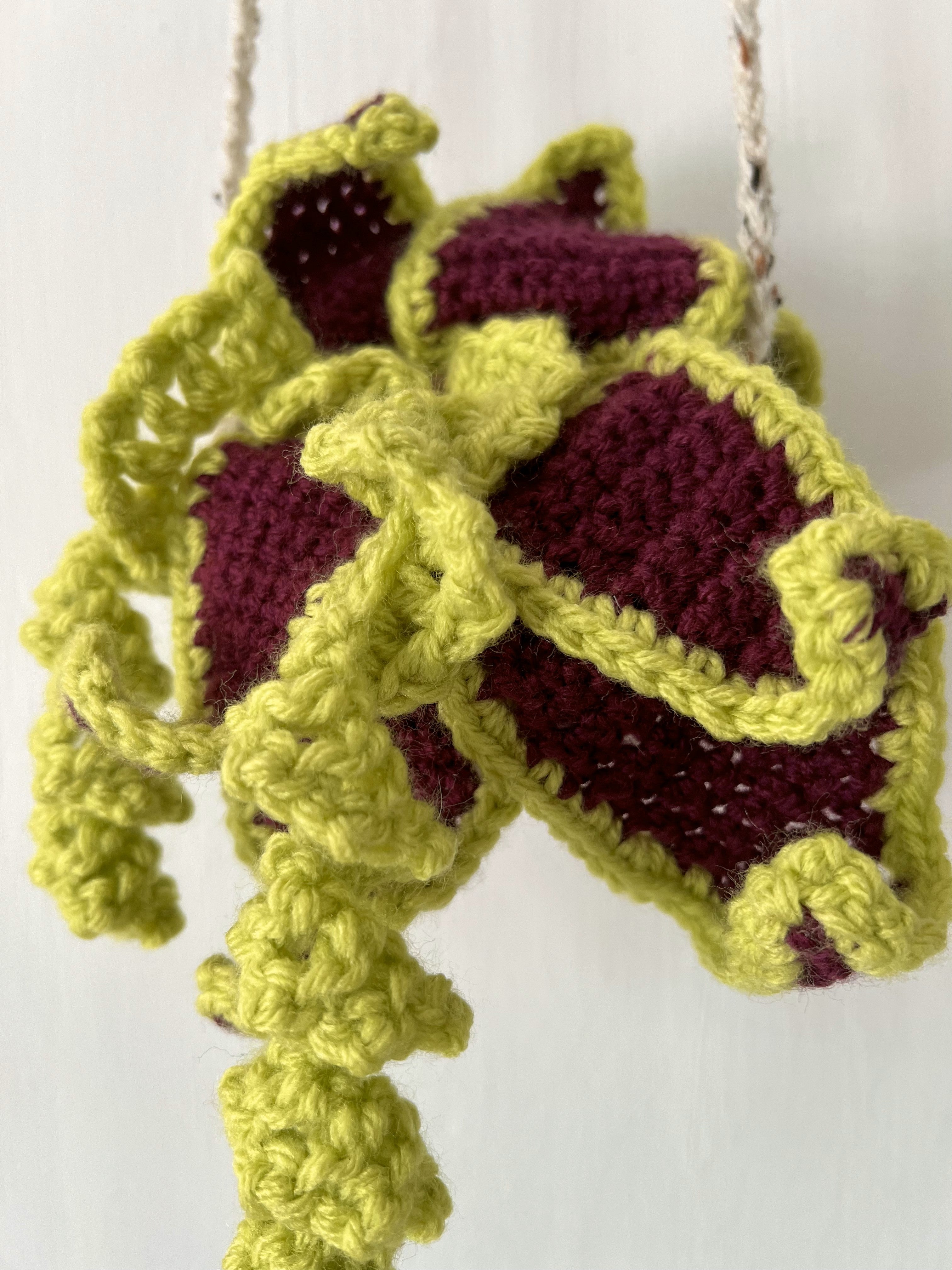 Side angle showing texture of crocheted air plant