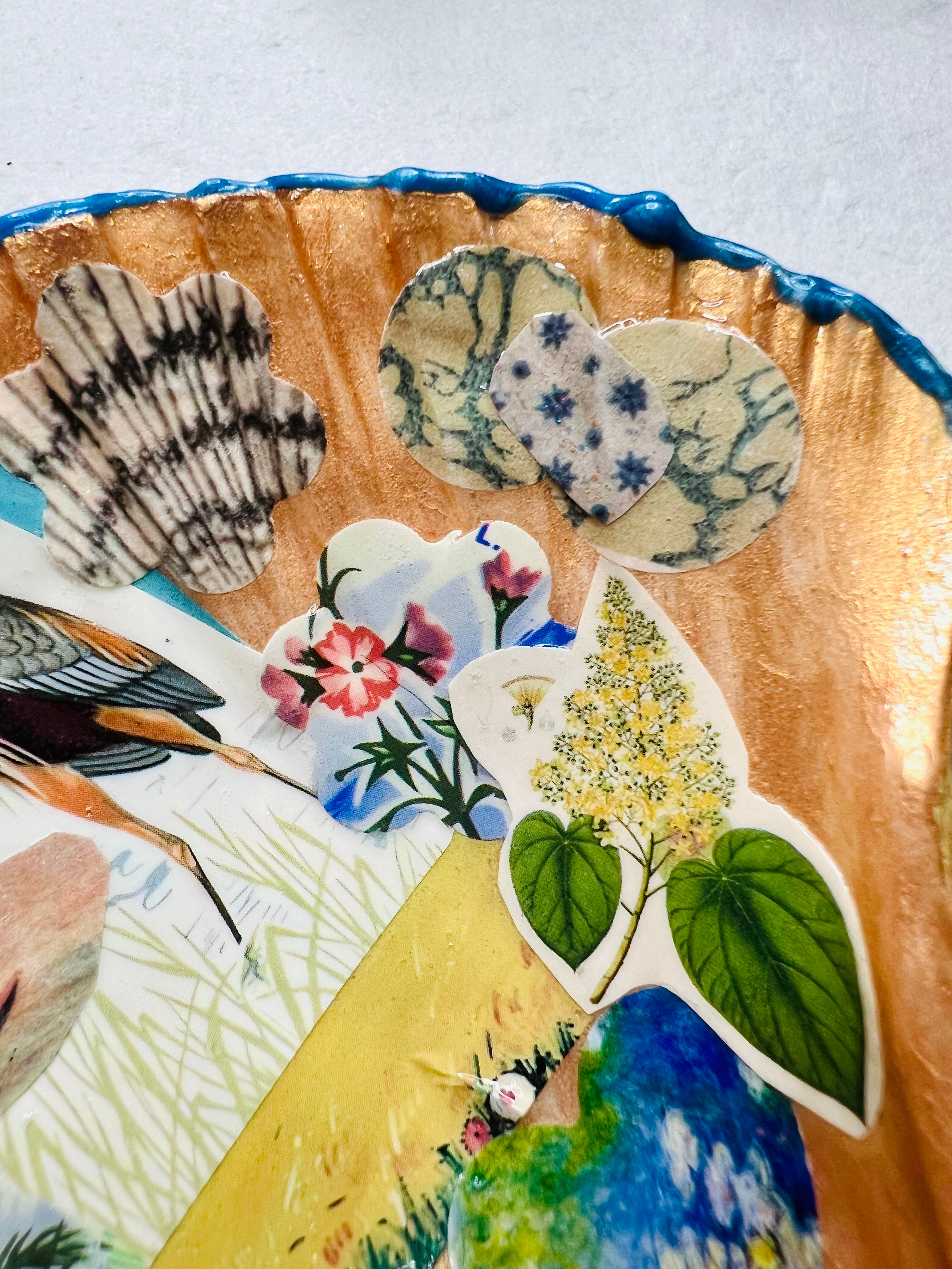 Decorative scallop shell with vintage nature ephemera