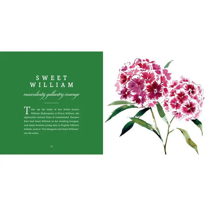 Open pages of the book showing detailed floral art and symbolic meanings
