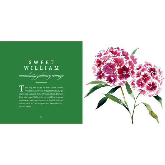 Open pages of the book showing detailed floral art and symbolic meanings