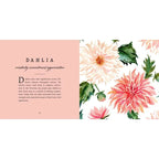 Close up view of the Dahlia Flower illustrated