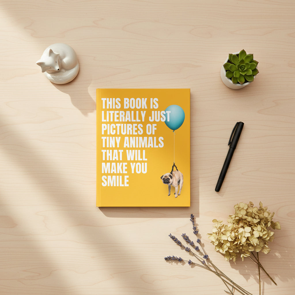 Book cover with a pug holding a blue balloon and text on a yellow background