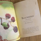 Book open to a page about blackberries with an illustration on the left.