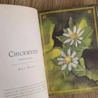 Open book with illustration of chickweed and text on a wooden surface