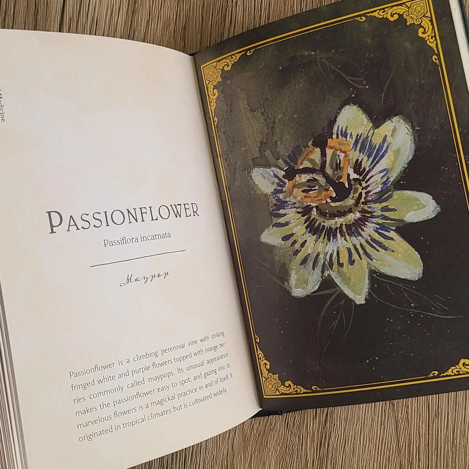 Open book with a passionflower illustration on a wooden surface