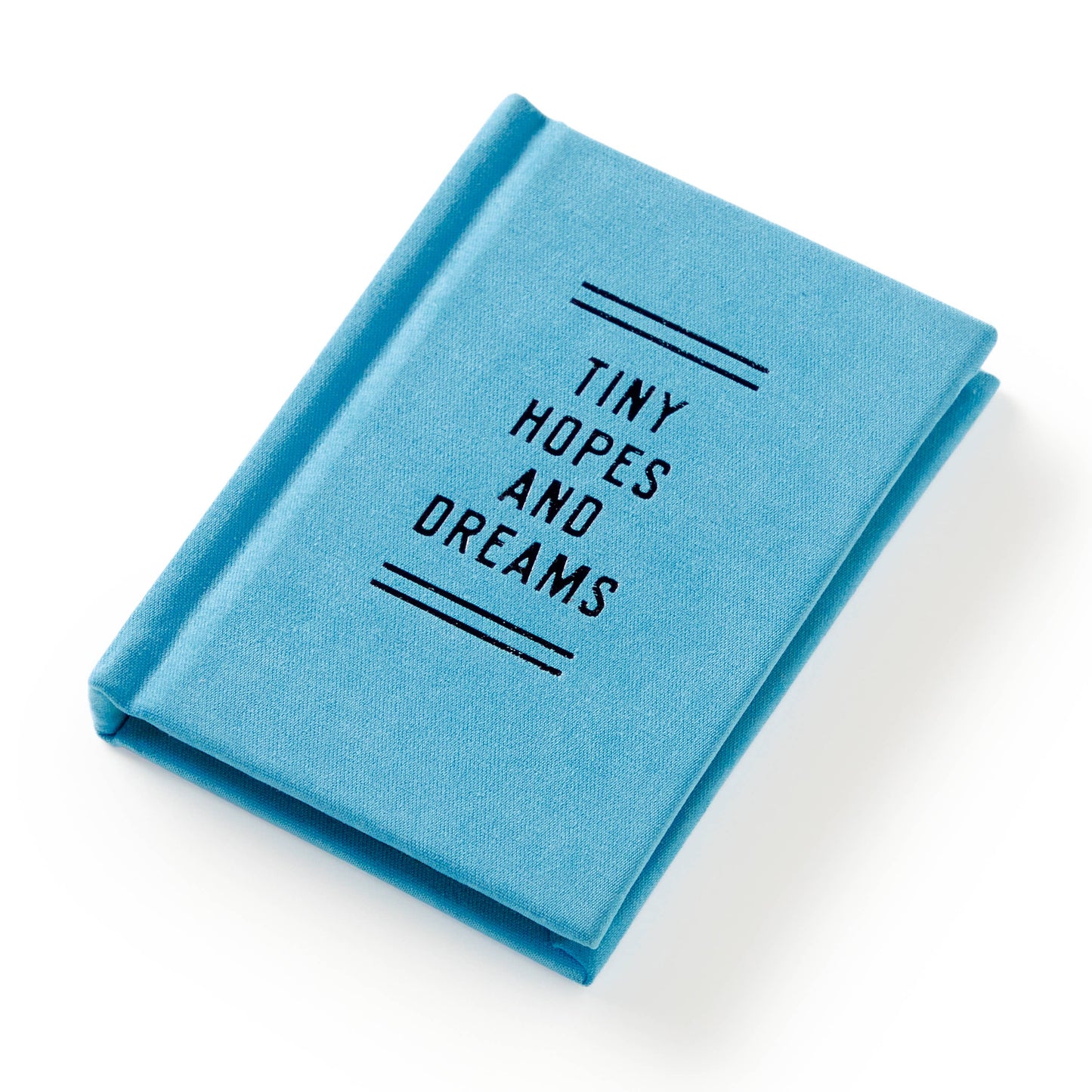 A little blue book titled 'Tiny Hopes and Dreams' on a white background