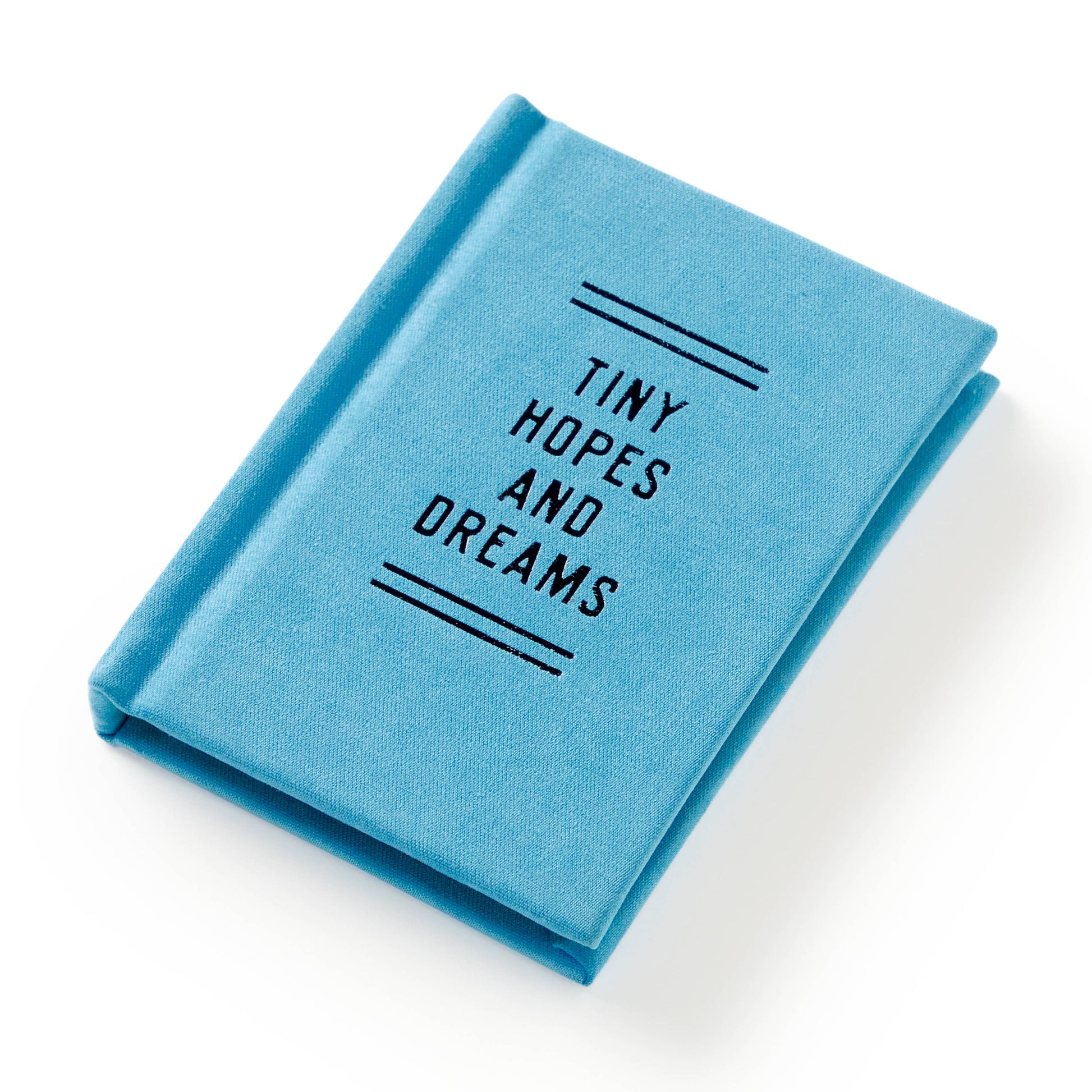 A little blue book titled 'Tiny Hopes and Dreams' on a white background
