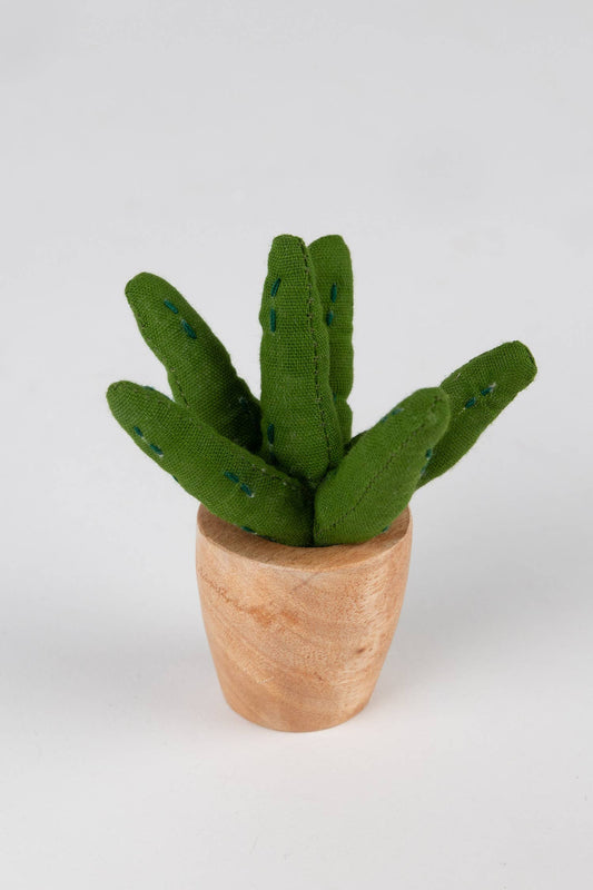 Handcrafted cotton aloe does not need sun or water, just love