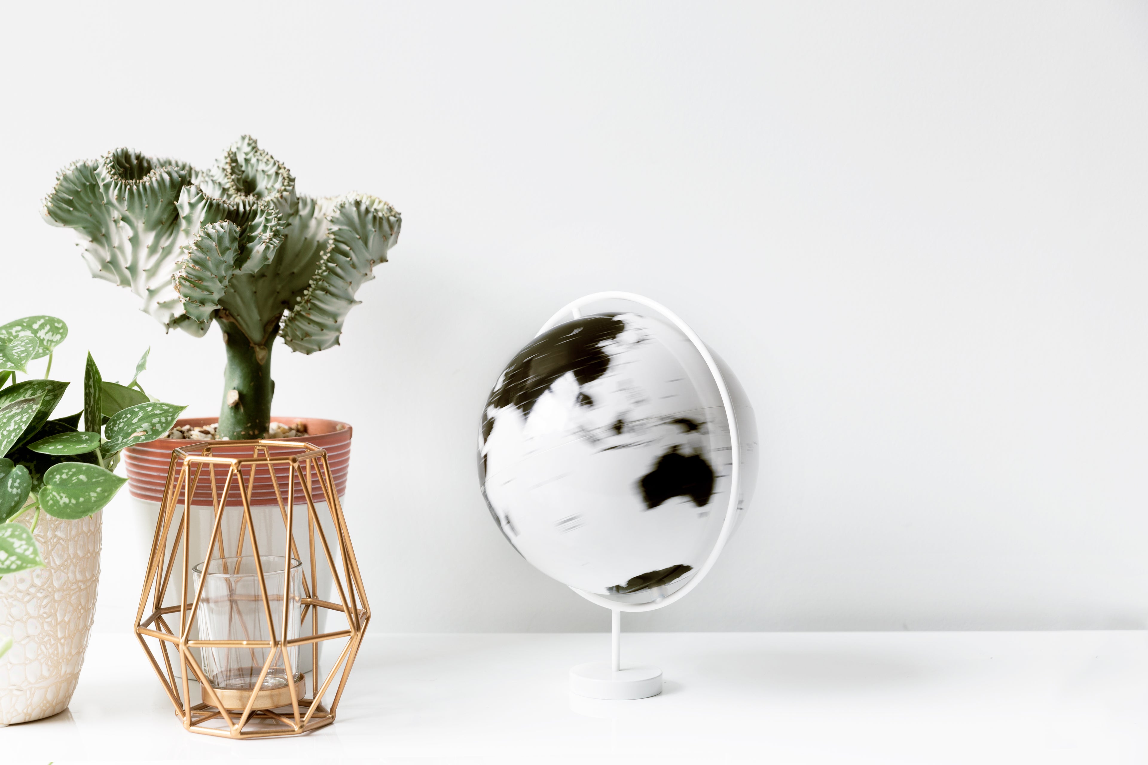 A black and white globe of the World next to plants on a white background