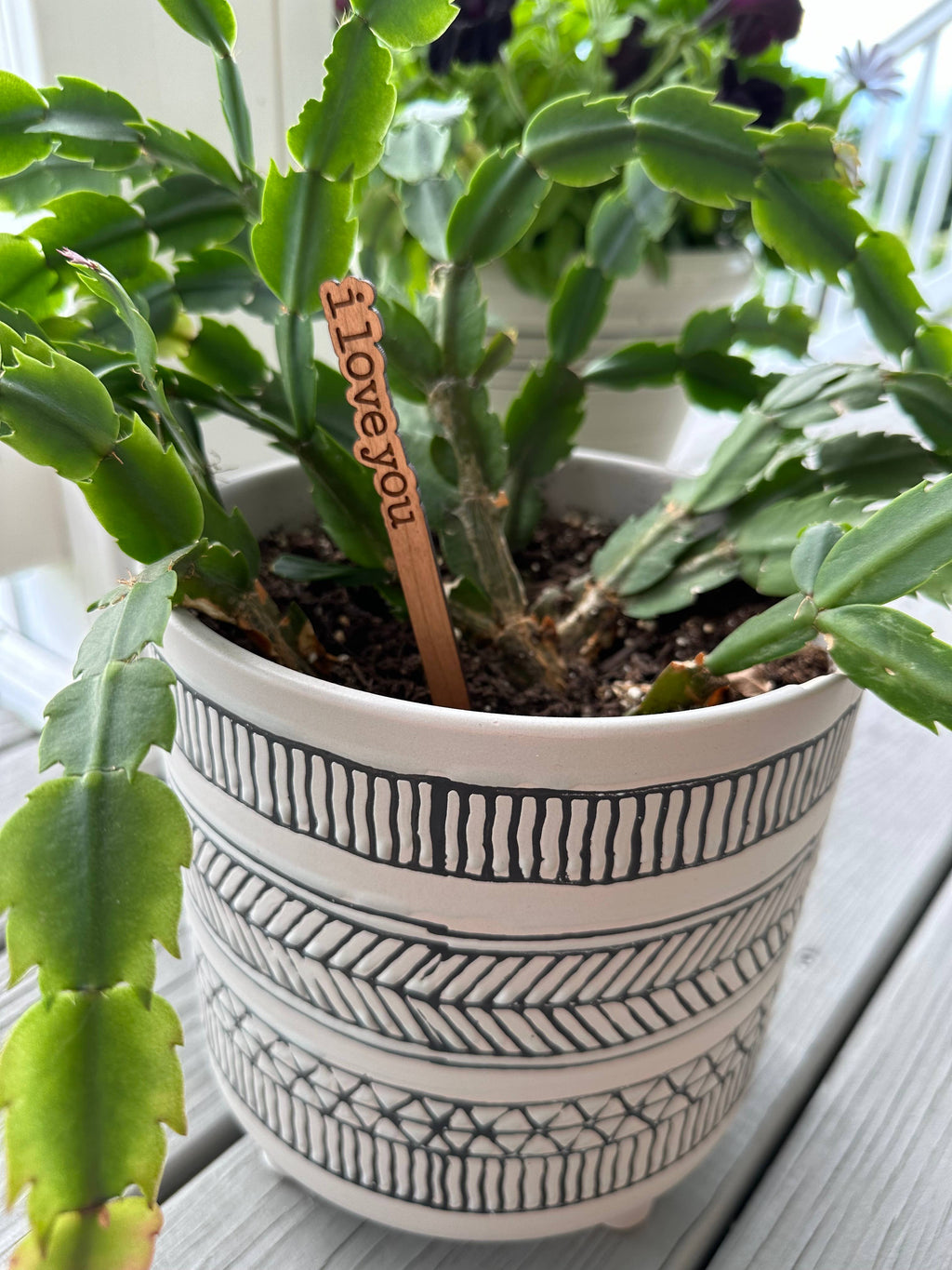 An engraved cherry hardwood plant stick with a heartfelt message, displayed in a potted plant.