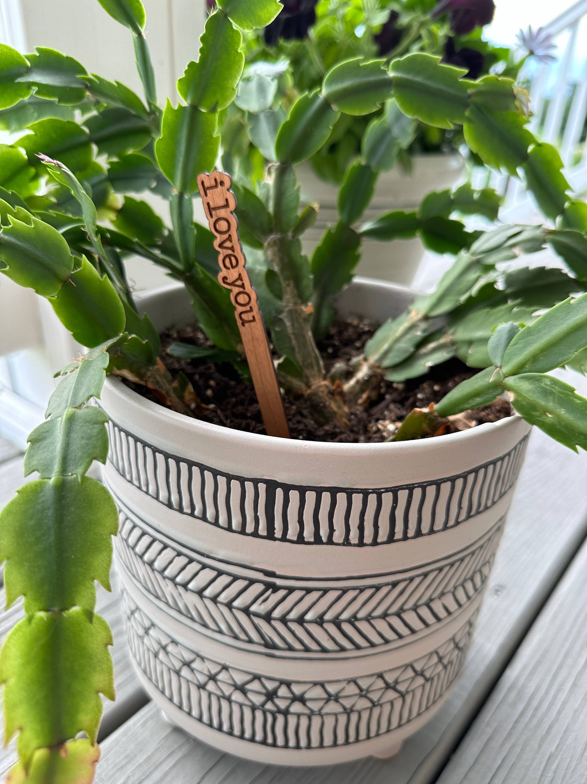 An engraved cherry hardwood plant stick with a heartfelt message, displayed in a potted plant.