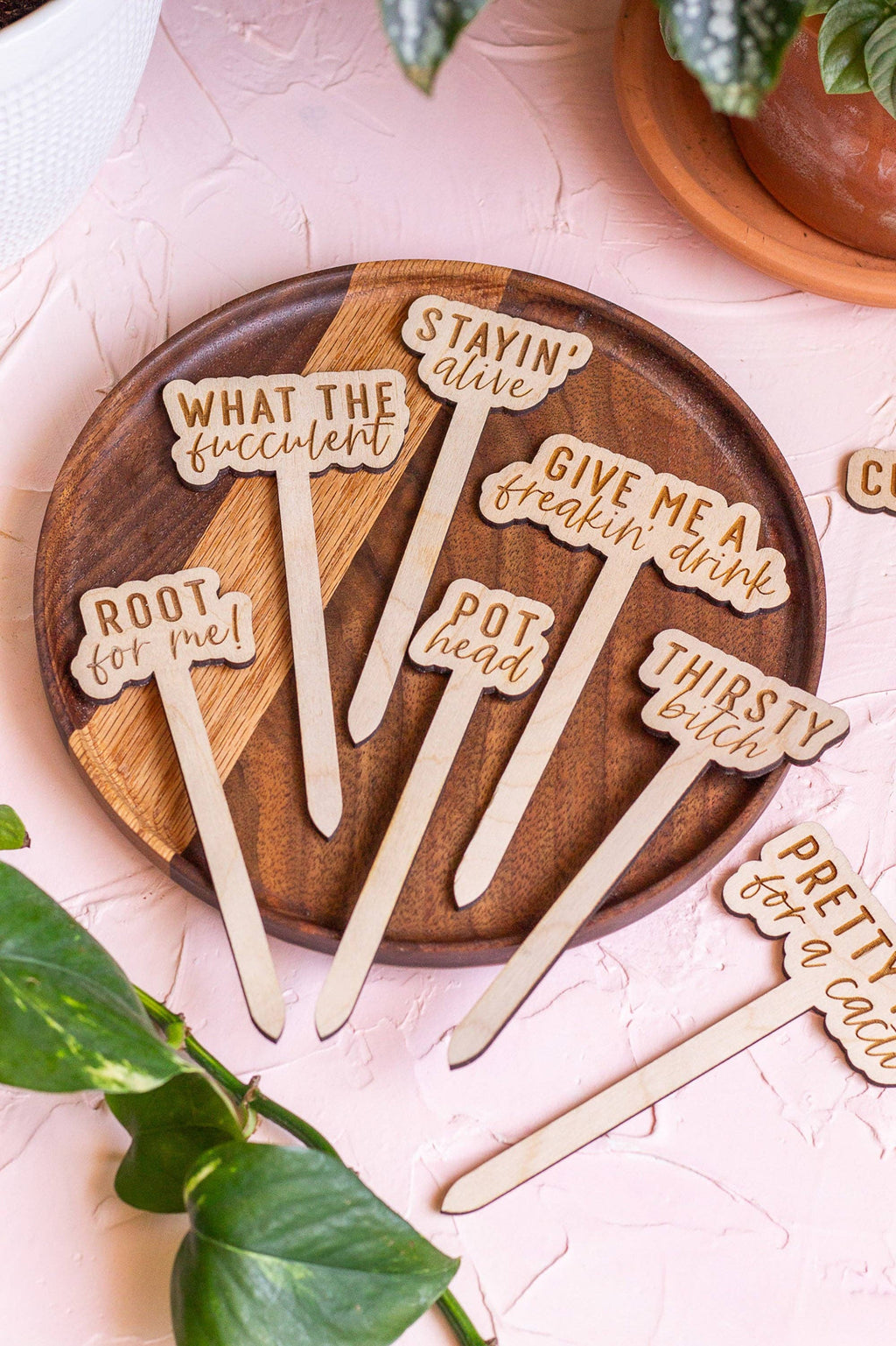Wooden plant markers with "What the Fucculent" saying for indoor plants and gardens