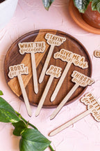Wooden plant markers with "What the Fucculent" saying for indoor plants and gardens
