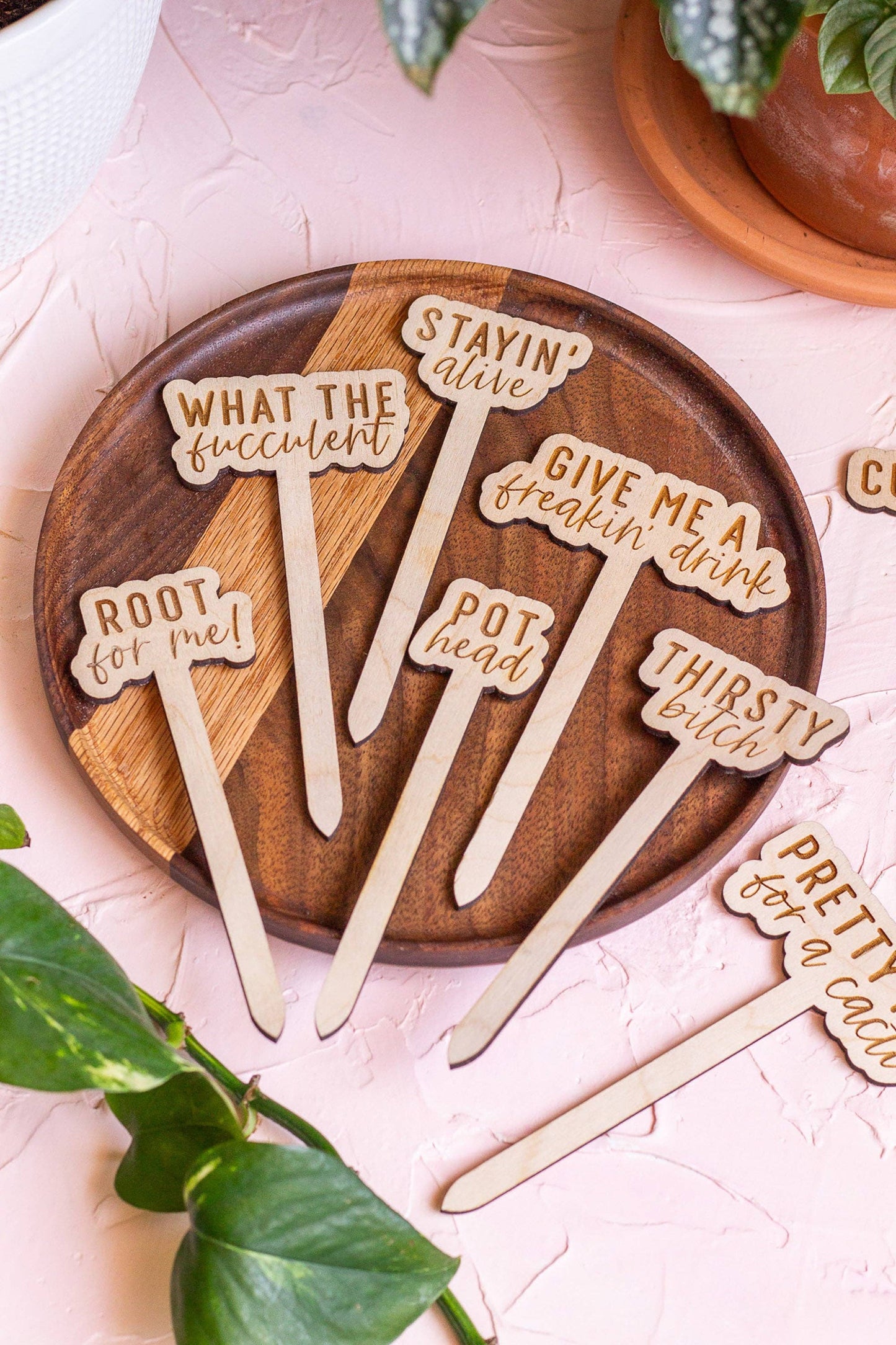 Wooden plant markers with "What the Fucculent" saying for indoor plants and gardens