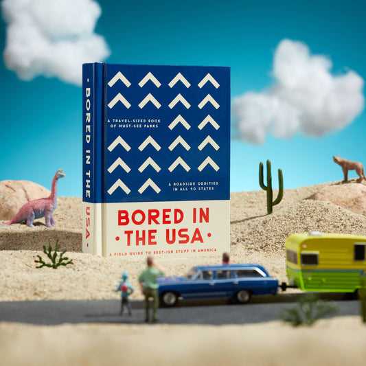 A fun illustration showcasing the Bored in the USA book in a dinosaur diorama 