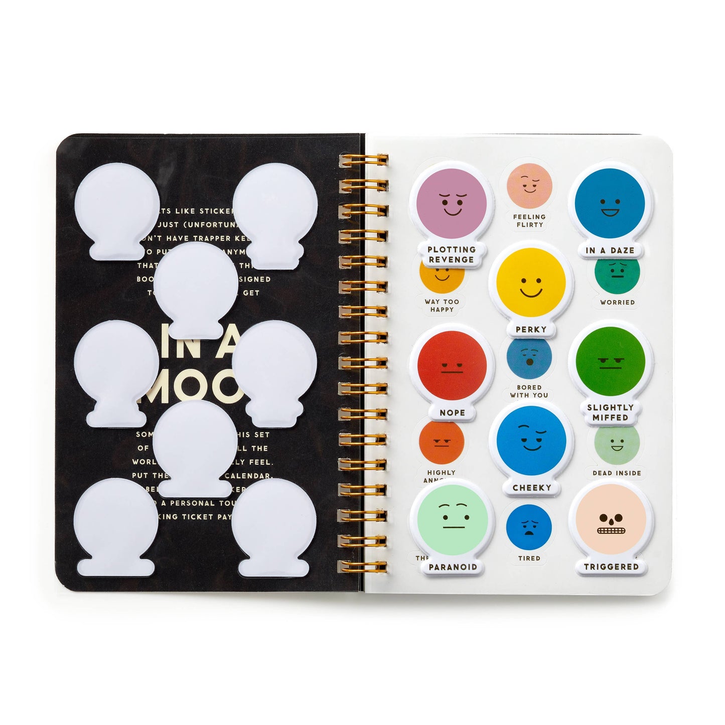 Spiral‑bound notebook shown with assorted emoticon stickers in different moods.