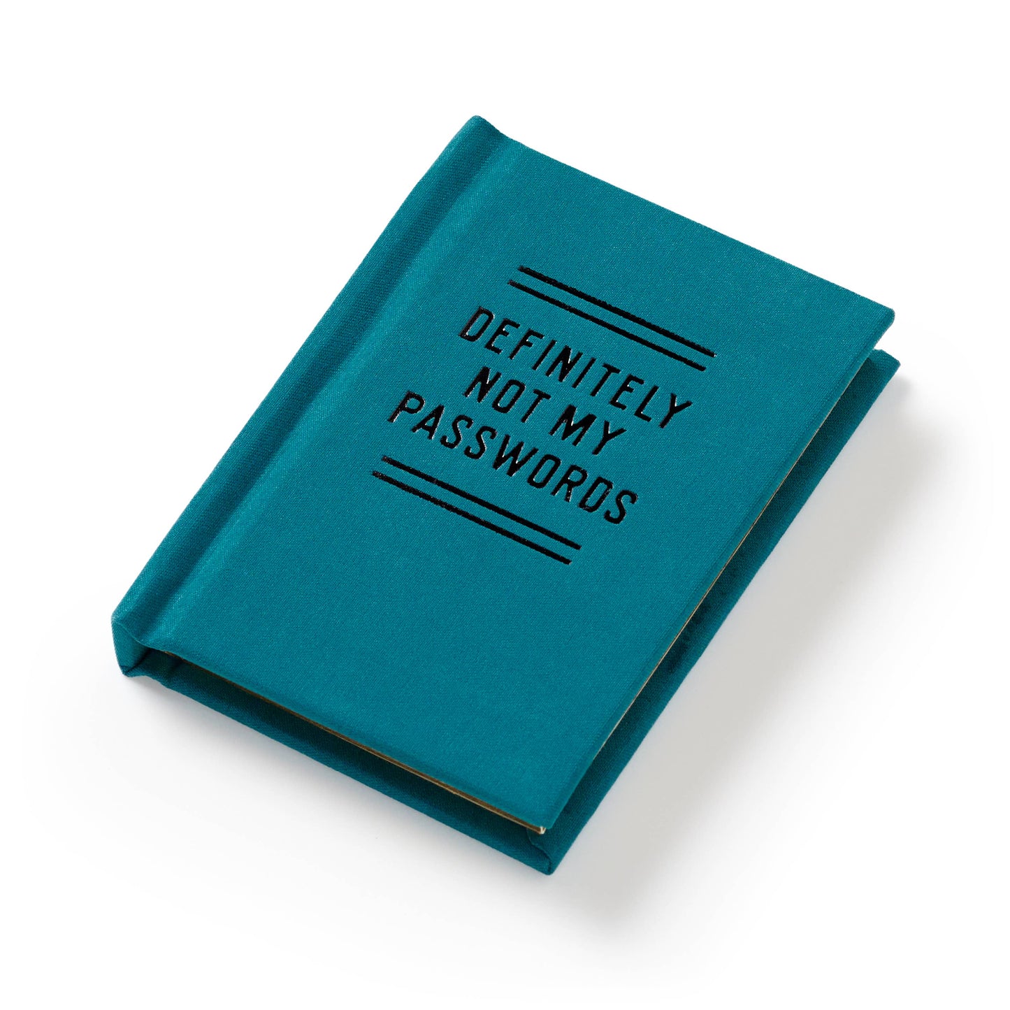Teal notebook with 'DEFINITELY NOT MY PASSWORDS' text on a white background