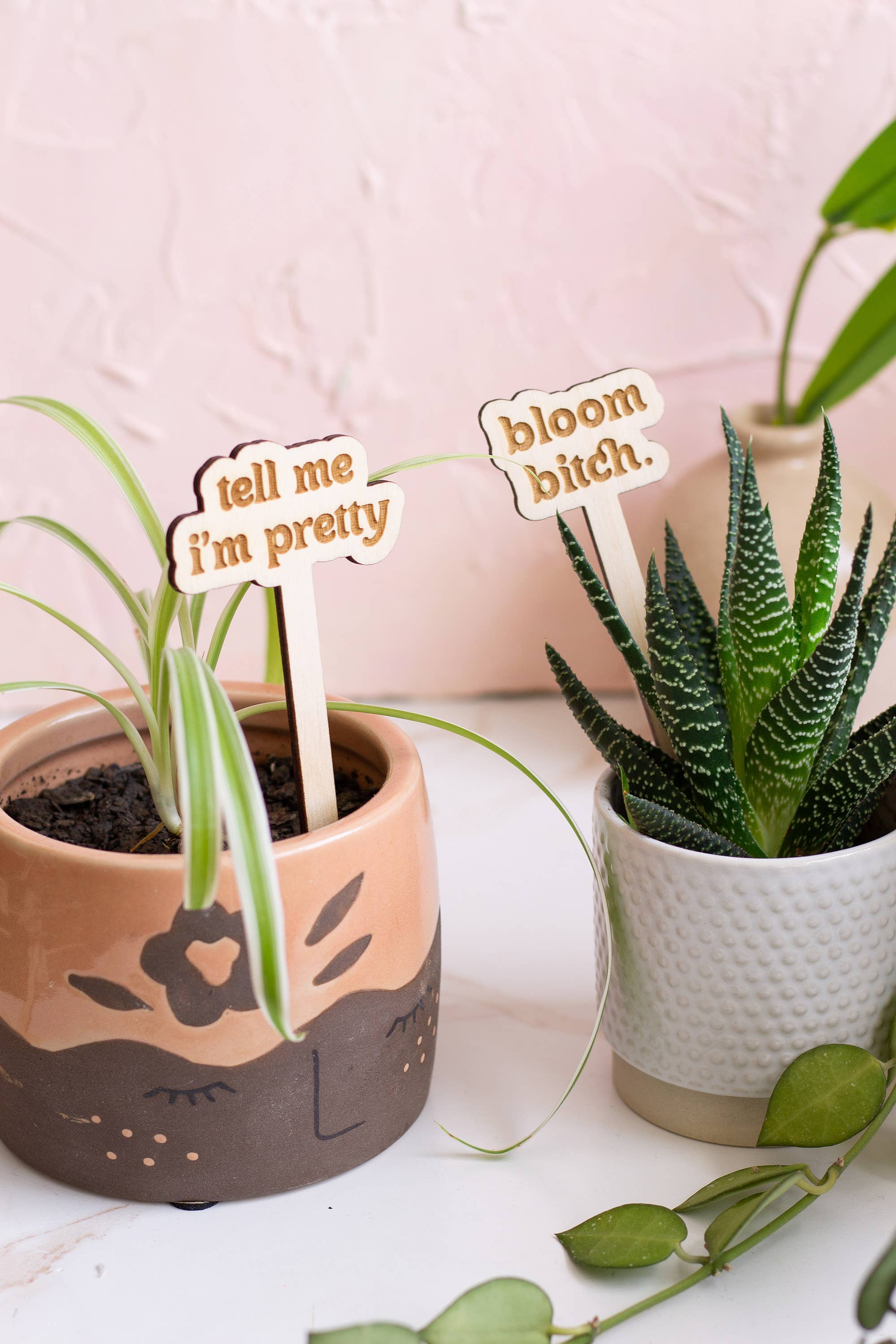 Spring Wooden Plant Markers, laser-engraved with cute plant sayings like "Tell Me I'm Pretty," made from unfinished Baltic Birch Plywood, ideal for indoor or garden plants.