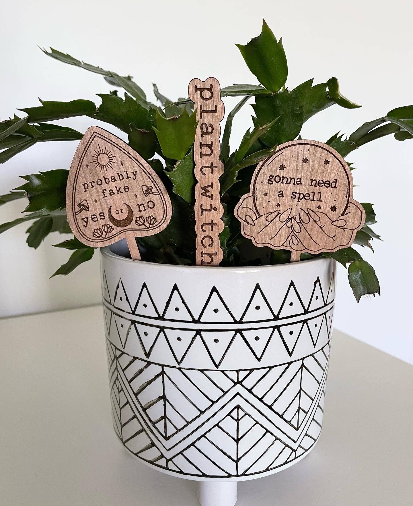 A set of wooden plant signs with various texts designed to give a spooky, witchy vibe, placed in a pot with green foliage. The signs have a rustic, laser-engraved appearance.