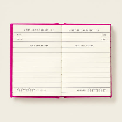 Mini journal with pink border and lined pages on a white background