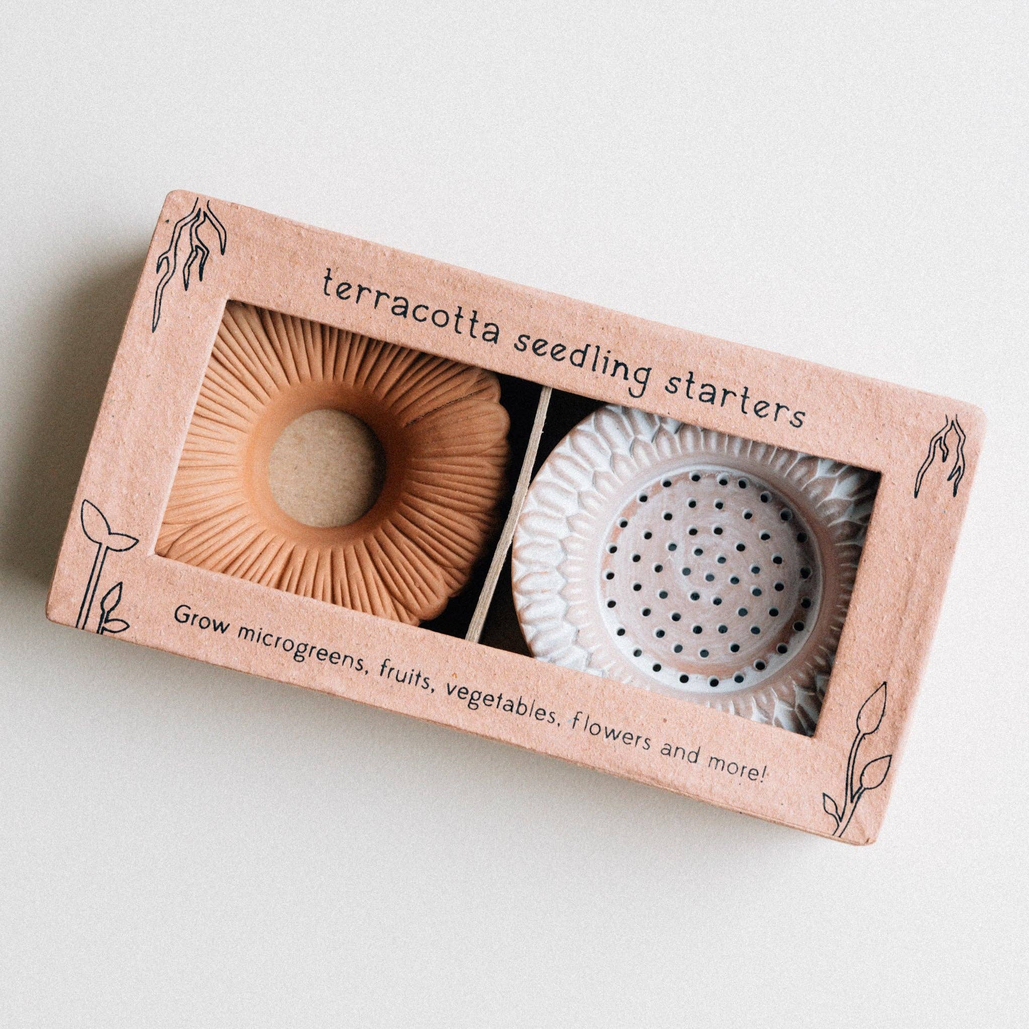 Sprouter set displayed in box with instructions and fresh greenery