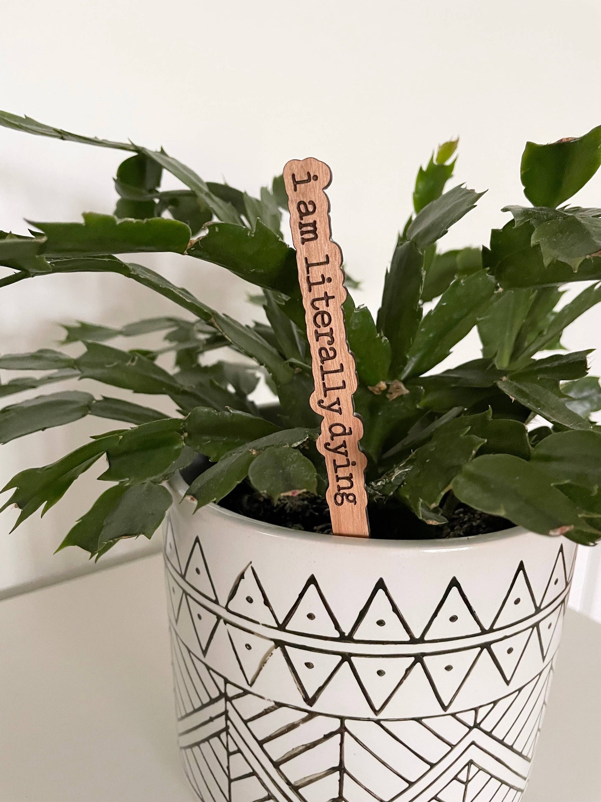 Engraved "I'm Literally Dying" plant marker in a potted plant, adding a touch of humor to your greenery.