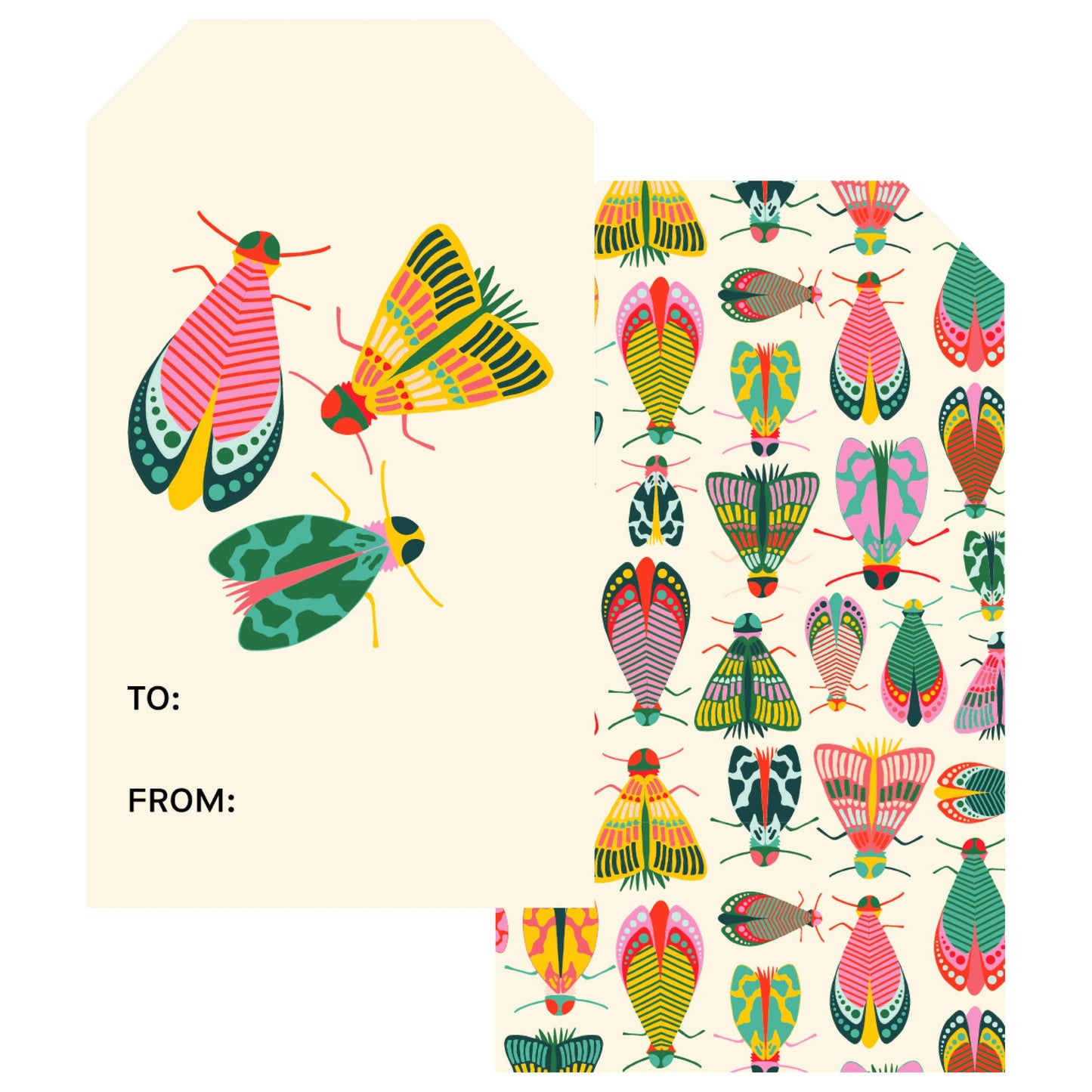 Close-up of detailed bug illustrations with bold colors and fun movement