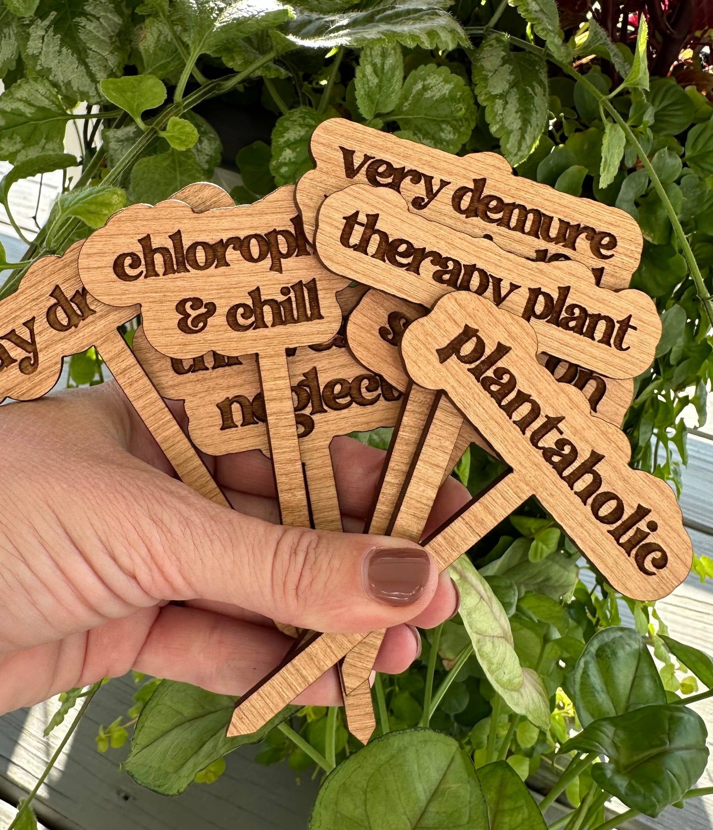 Close-up of retro-inspired word bubble plant markers, showing their vibrant charm.