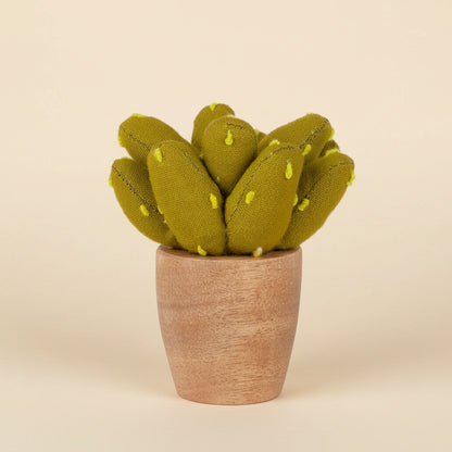 Close up of the Prickly Pear fiber plant