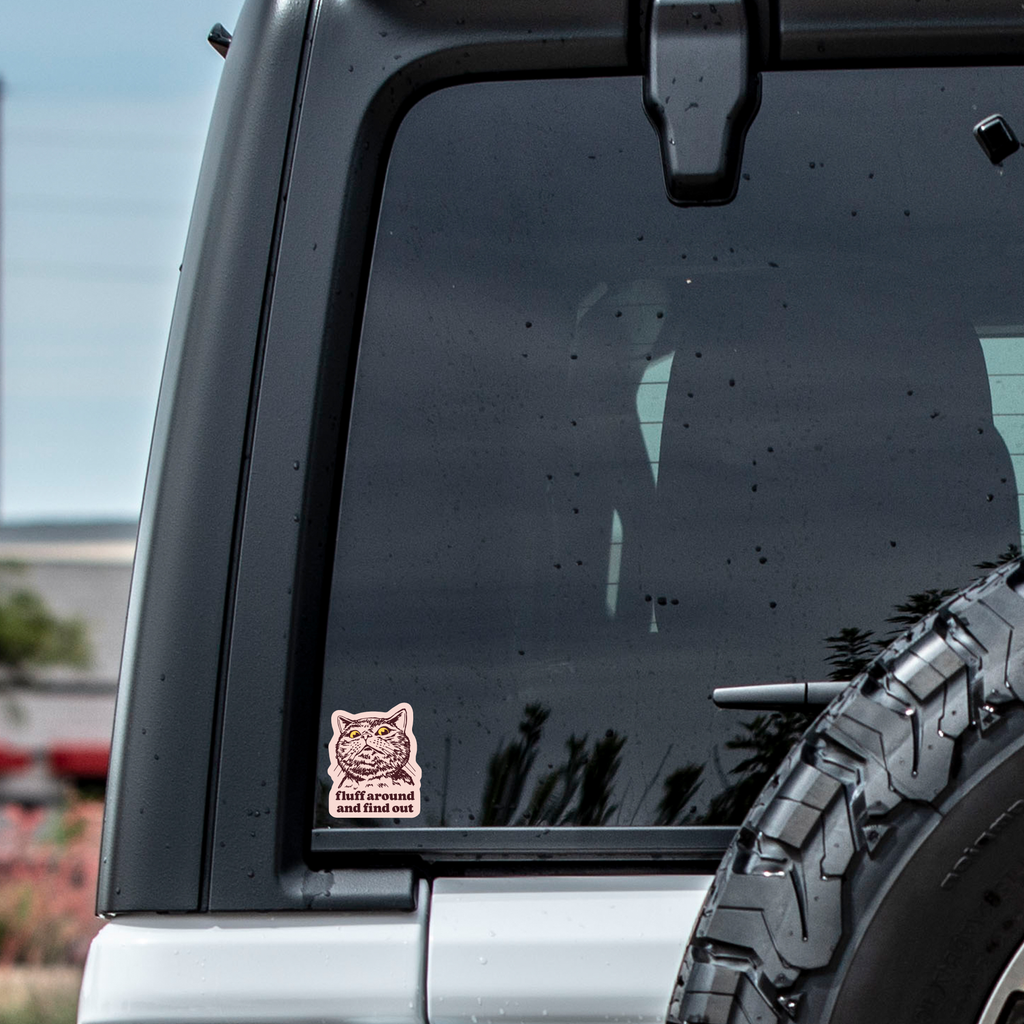 "Fluff Around and Find Out" Sassy Cat Sticker - Bold and Funny Design decal on vehicle.