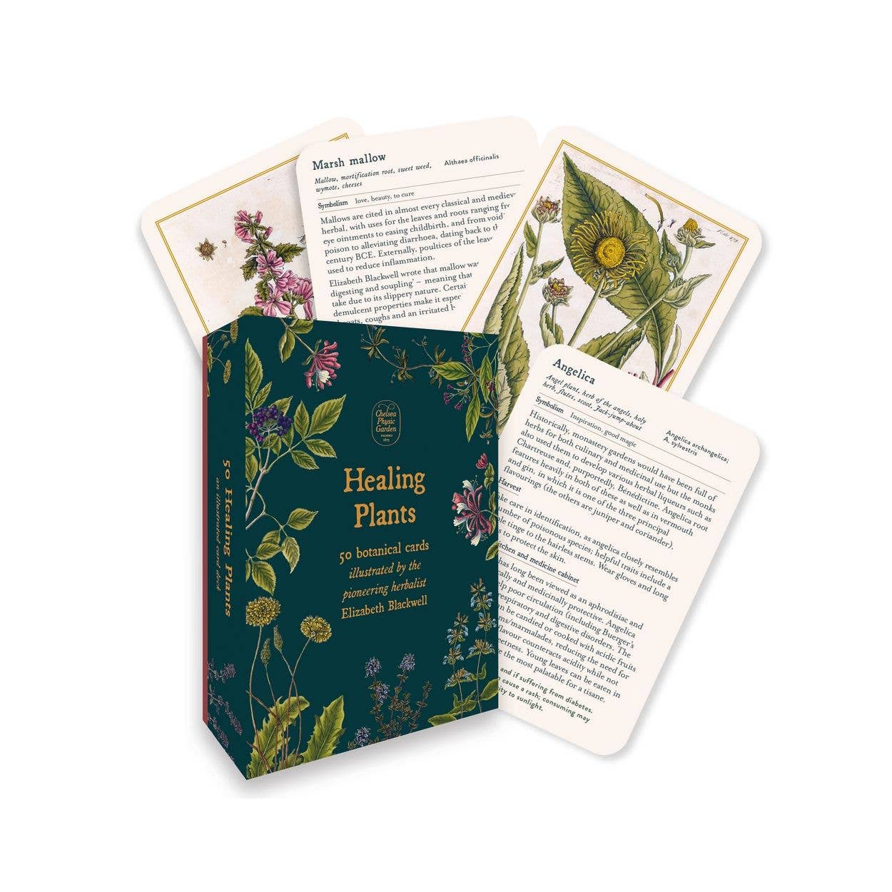 Healing Plants card set with green box and botanical illustrations on a white background