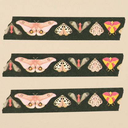 Three strips of the Moth washi tape on a white background