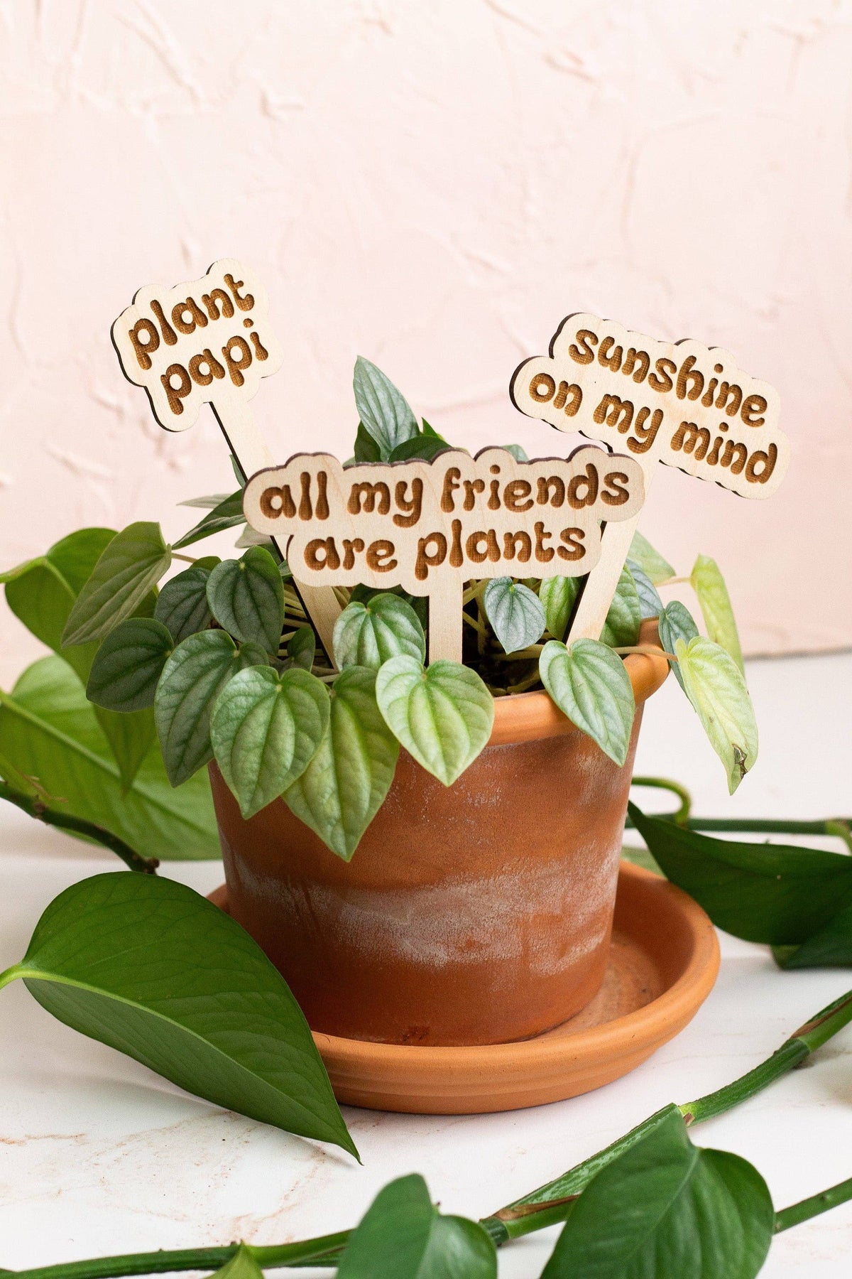 A wooden plant marker with laser engraving reading 'Happy Birthday!' crafted from unfinished Baltic Birch Plywood.