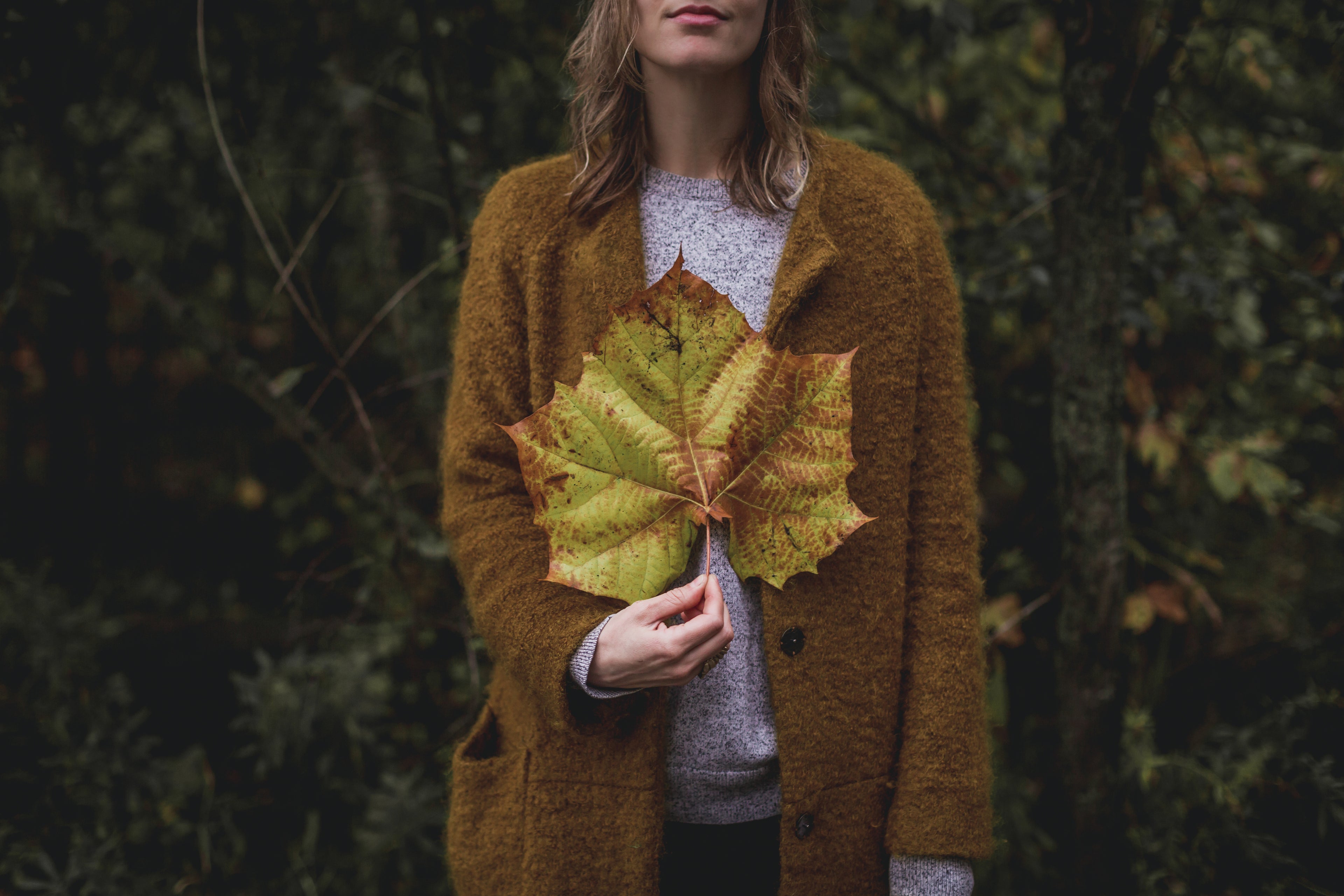 A woman standing in a wooded background showcasing a large fall leaf