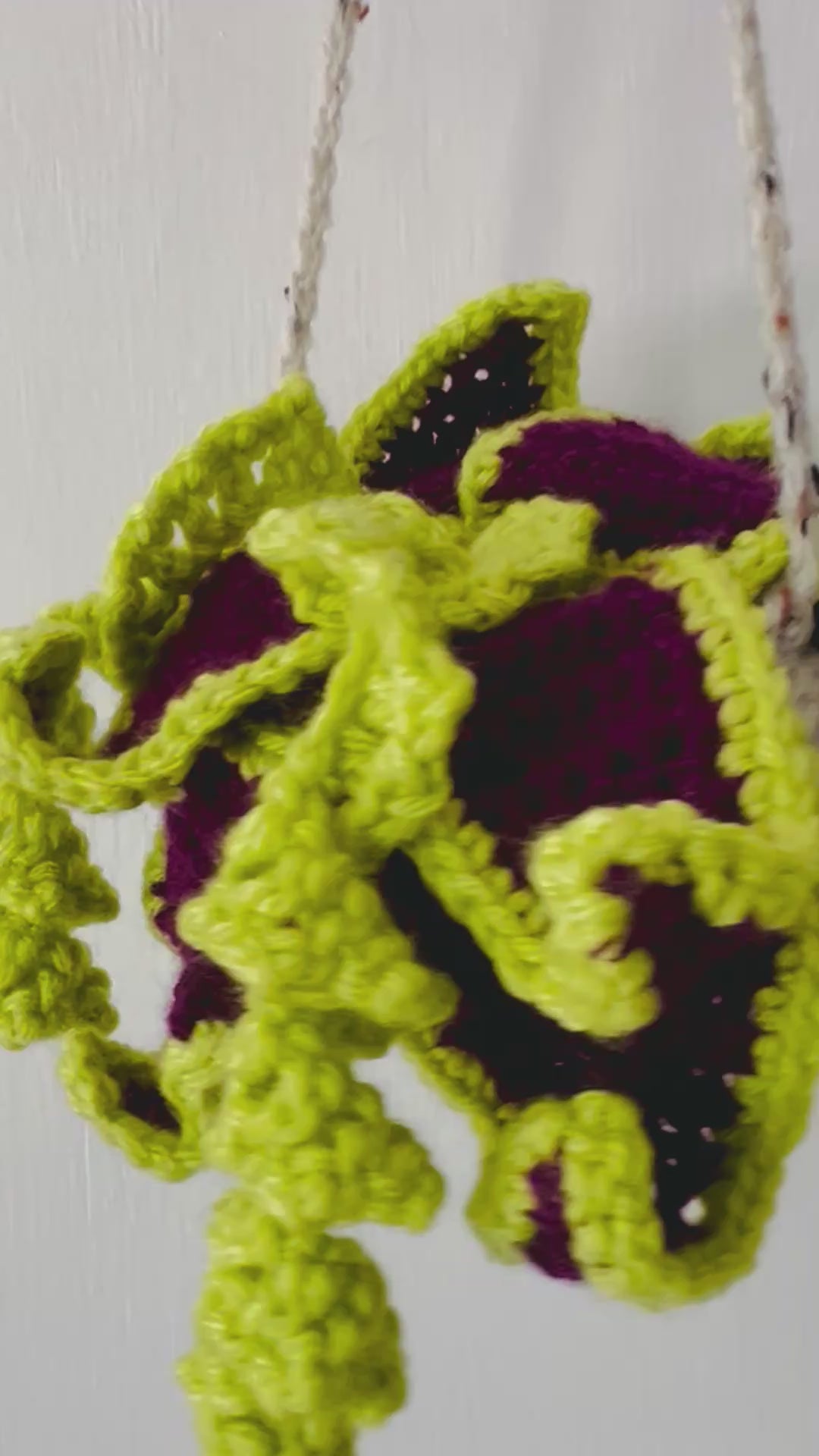 Close-up of yarn leaves twisting outward from the center of the handmade air plant