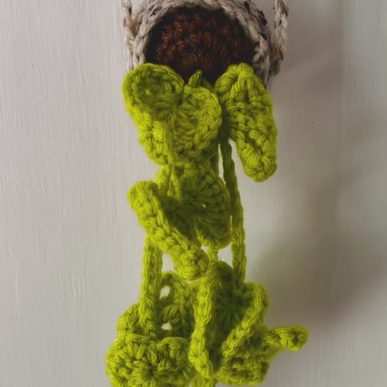 Whimsical video of green crochet air plant looking like it crawled out of a magical swamp to crash your decor.
