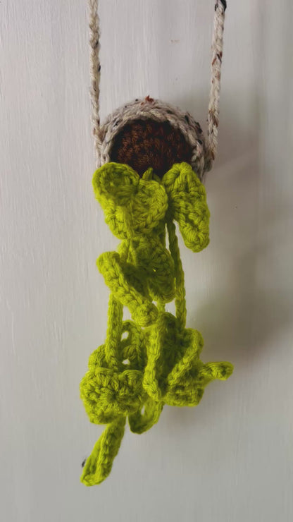 Whimsical video of green crochet air plant looking like it crawled out of a magical swamp to crash your decor.